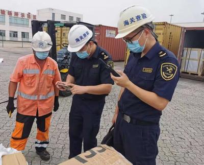 化學品進出口海運安全指南 危險品運輸的關鍵要點解析